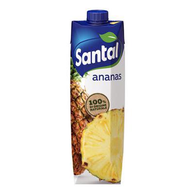 Santàl Succo Ananas 1 lt.