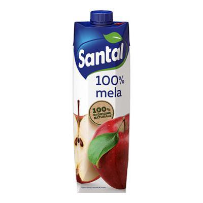 Santàl Succo Mela 1 Lt.